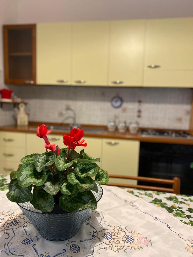 Apartamento Trilocale Piazza Italia - Iun Q5292 Orosei